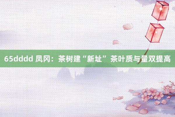 65dddd 凤冈：茶树建“新址” 茶叶质与量双提高