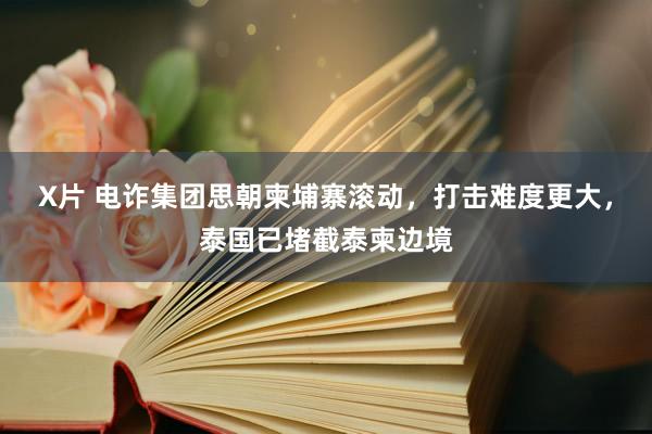 X片 电诈集团思朝柬埔寨滚动，打击难度更大，泰国已堵截泰柬边境
