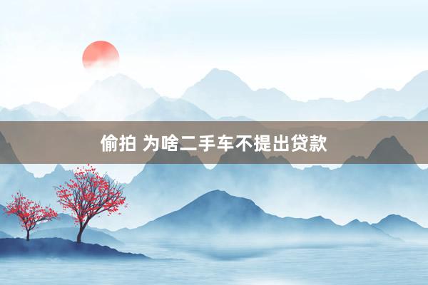 偷拍 为啥二手车不提出贷款
