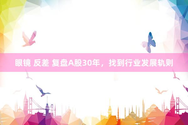 眼镜 反差 复盘A股30年，找到行业发展轨则