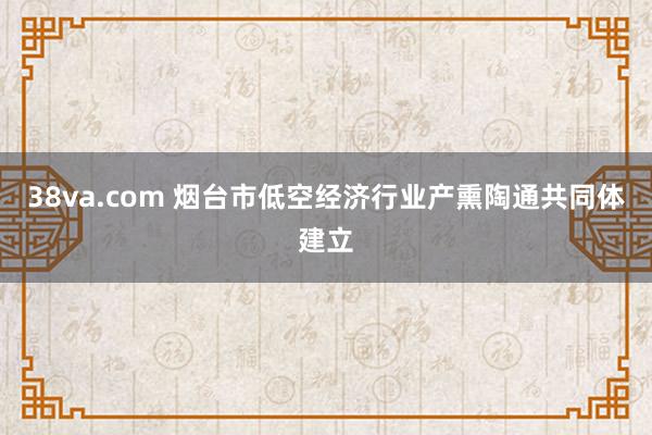 38va.com 烟台市低空经济行业产熏陶通共同体建立
