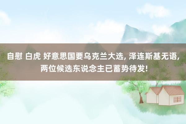 自慰 白虎 好意思国要乌克兰大选, 泽连斯基无语, 两位候选东说念主已蓄势待发!