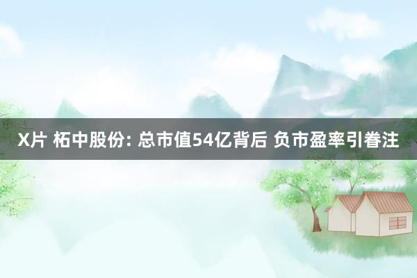 X片 柘中股份: 总市值54亿背后 负市盈率引眷注
