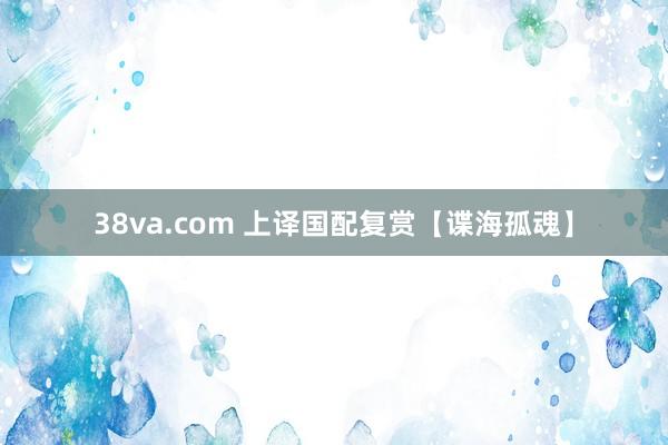 38va.com 上译国配复赏【谍海孤魂】